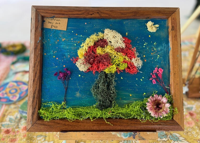 Moss Mushroom Night Sky Wall Art