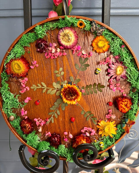 Dried Strawflower & Moss Wall Art